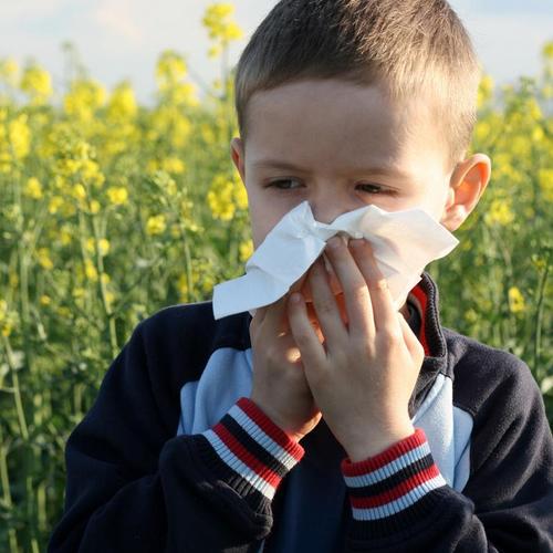 Früherkennung bei Neurodermitis, Asthma & Co