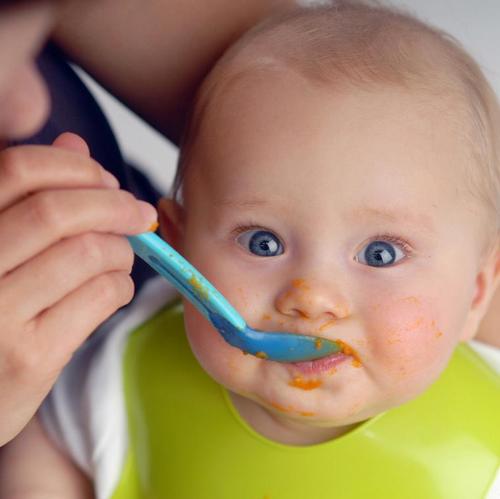 Baby Beikost – Was Sie wissen sollten