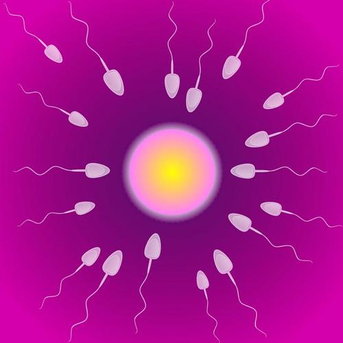 Eisprung – Fruchtbare Tage erkennen