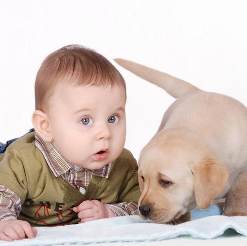 Baby und Hund