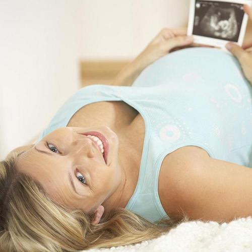 Trimester – Phasen der Schwangerschaft