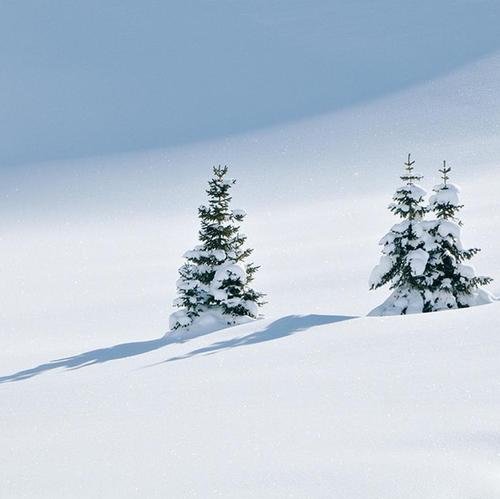 Weihnachtszeit: Weihnachtsbaum schmücken