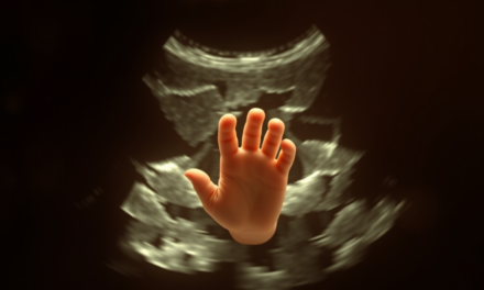 Einblicke in die 16. bis 18. SSW: Die spannende Entwicklung des Babys
