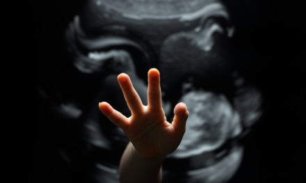 Vom Hören bis zur Geburt: Babys spannende Reise in der 28. bis 30. SSW